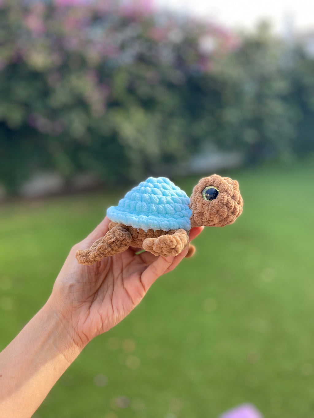 Tortuga marina - varios colores