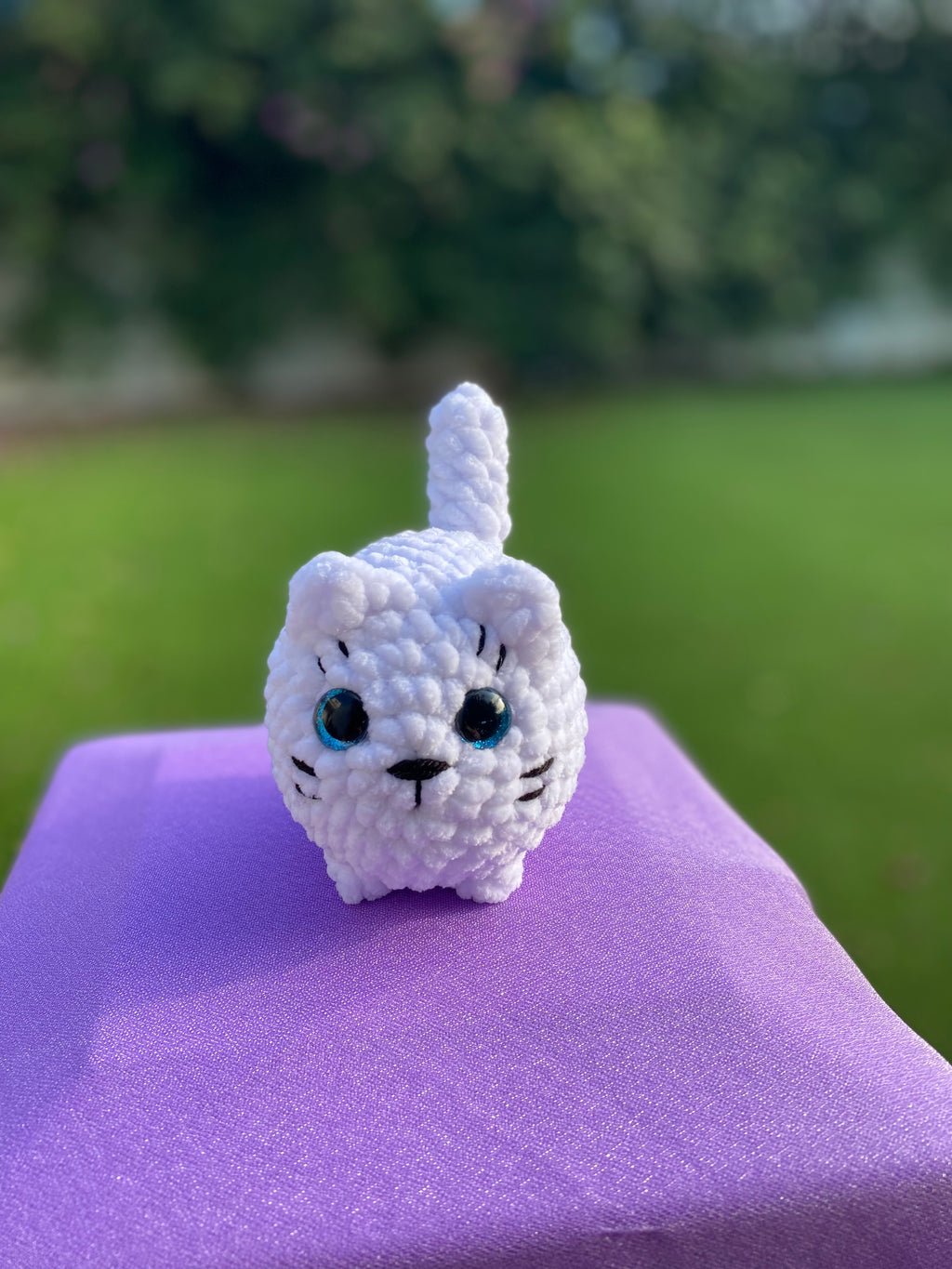 Gato mediano - varios colores