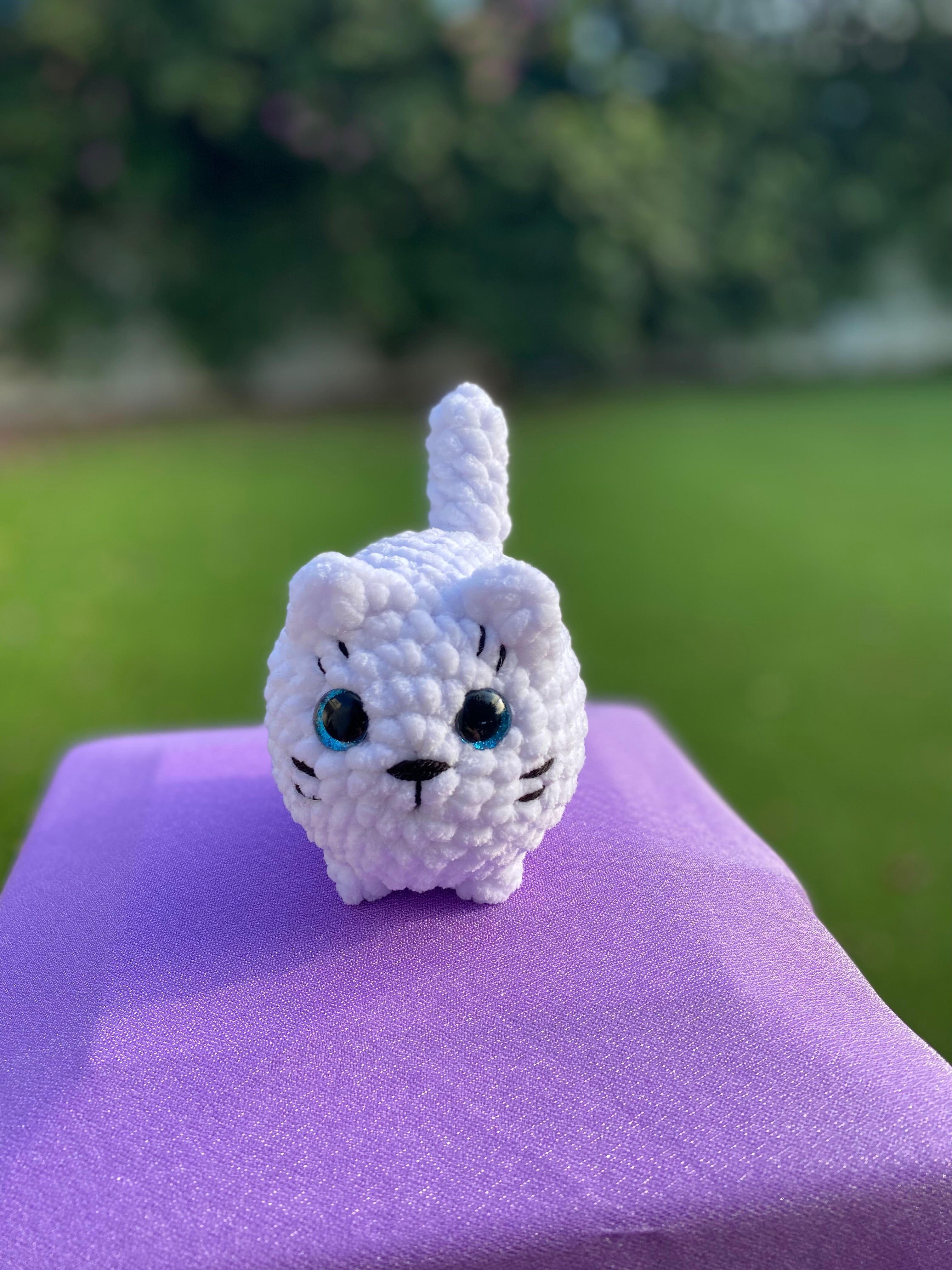 Gato mediano - varios colores