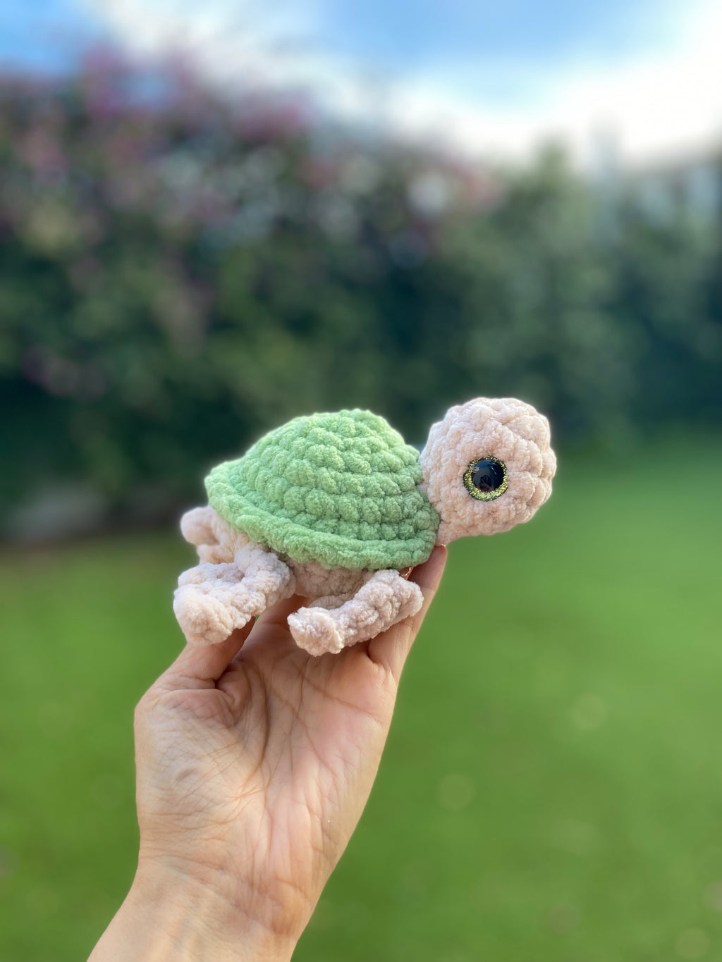 Tortuga marina - varios colores