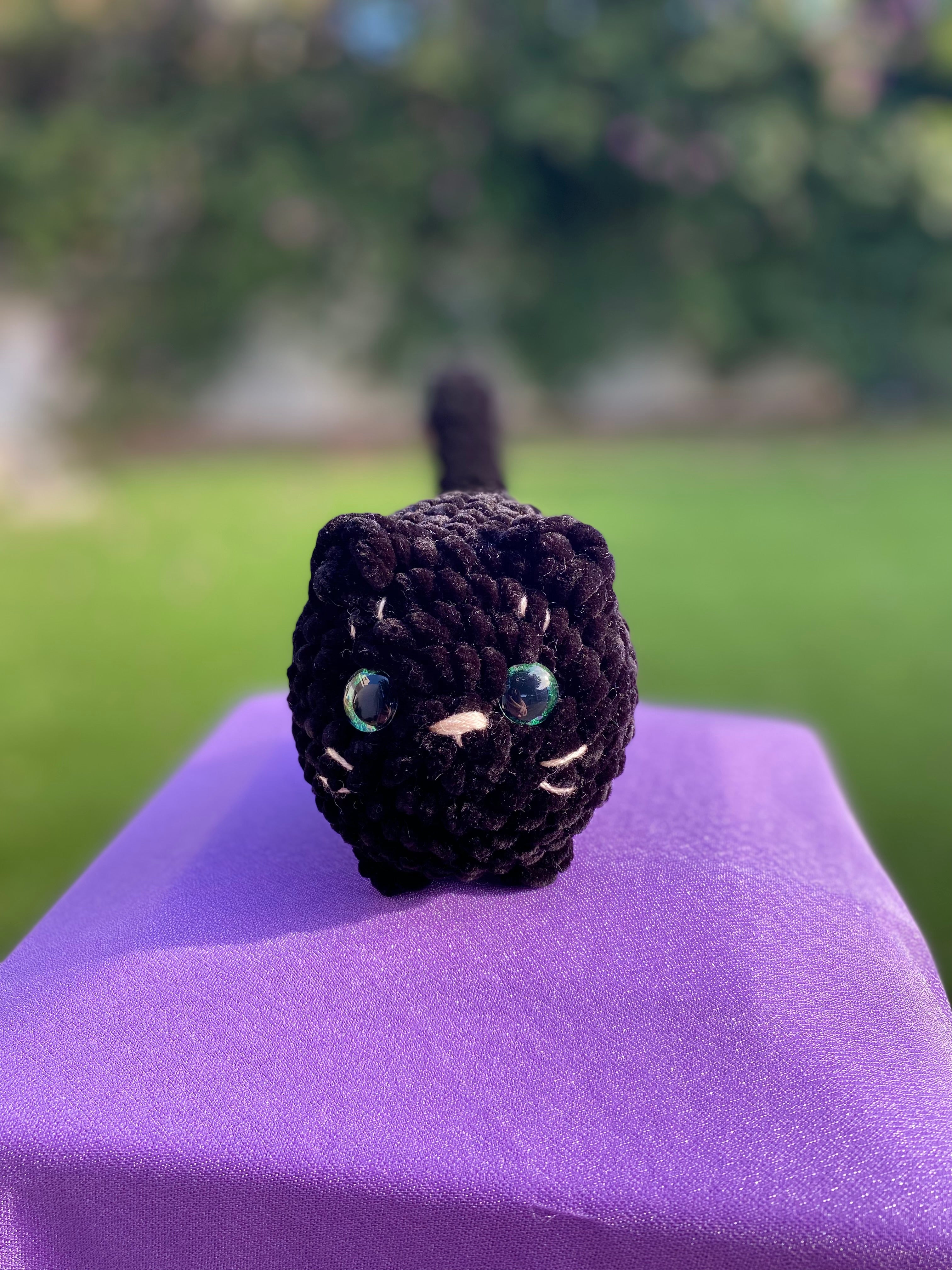 Gato mediano - varios colores