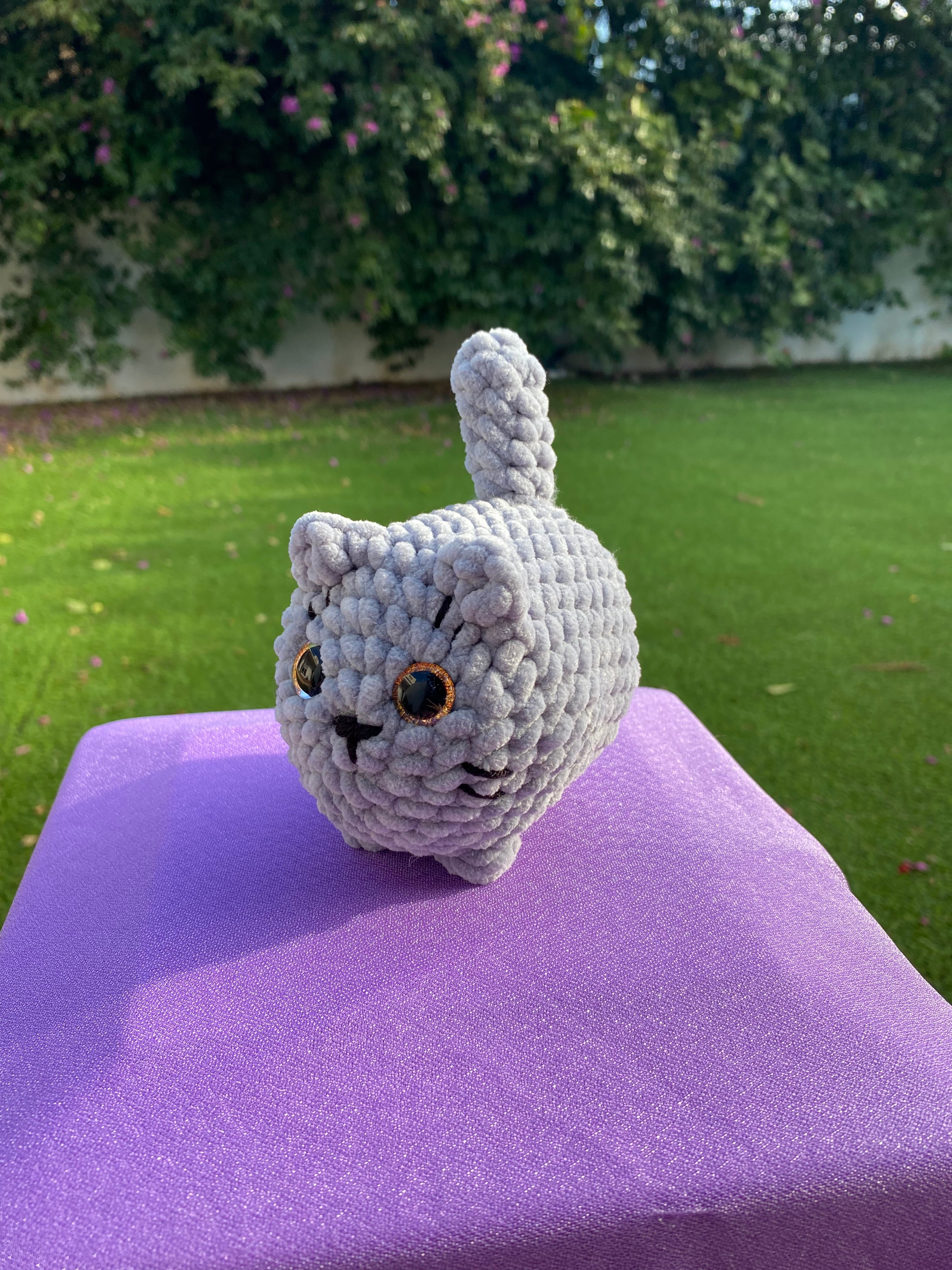 Gato mediano - varios colores