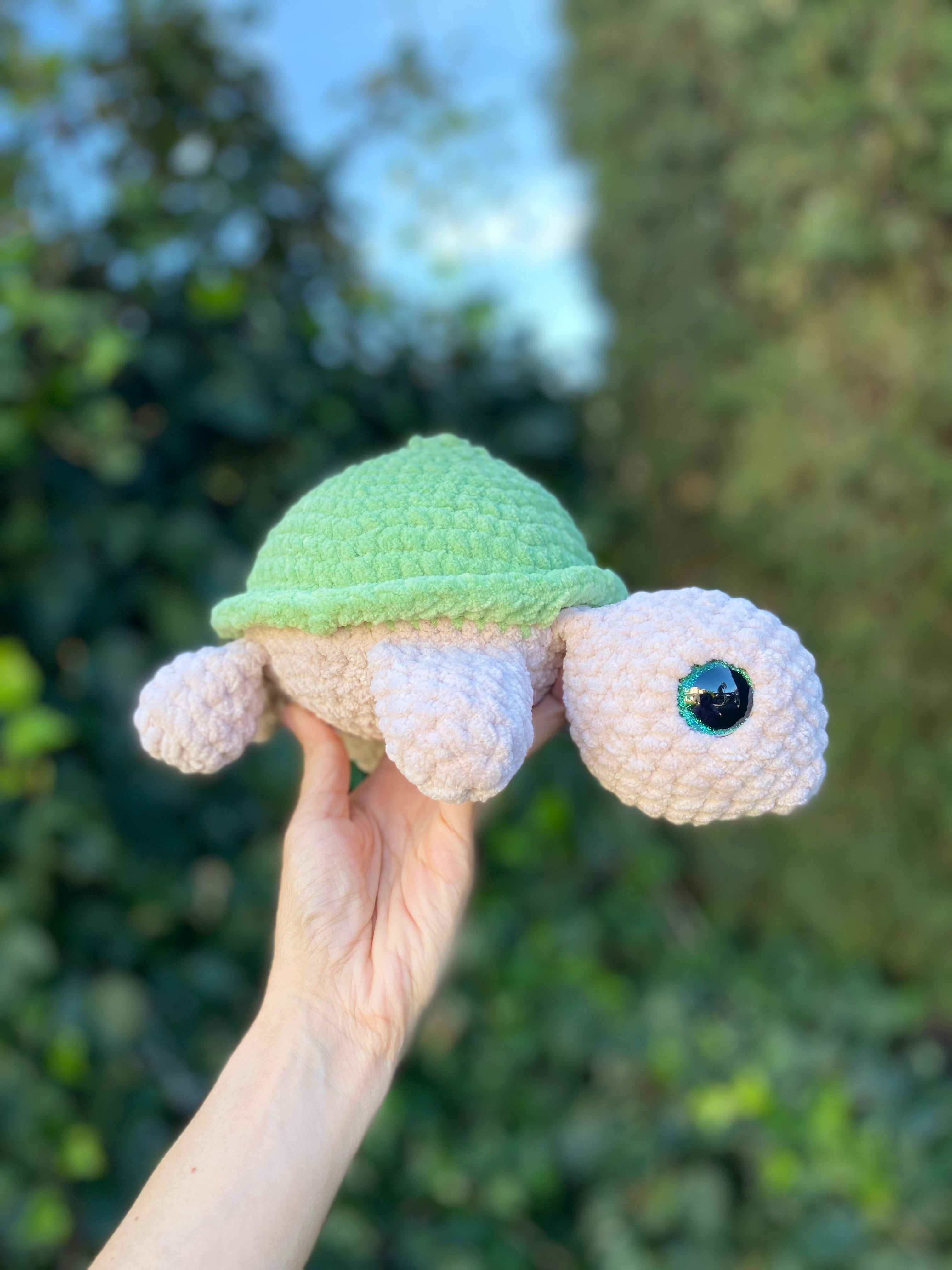 Tortuga terrestre grande