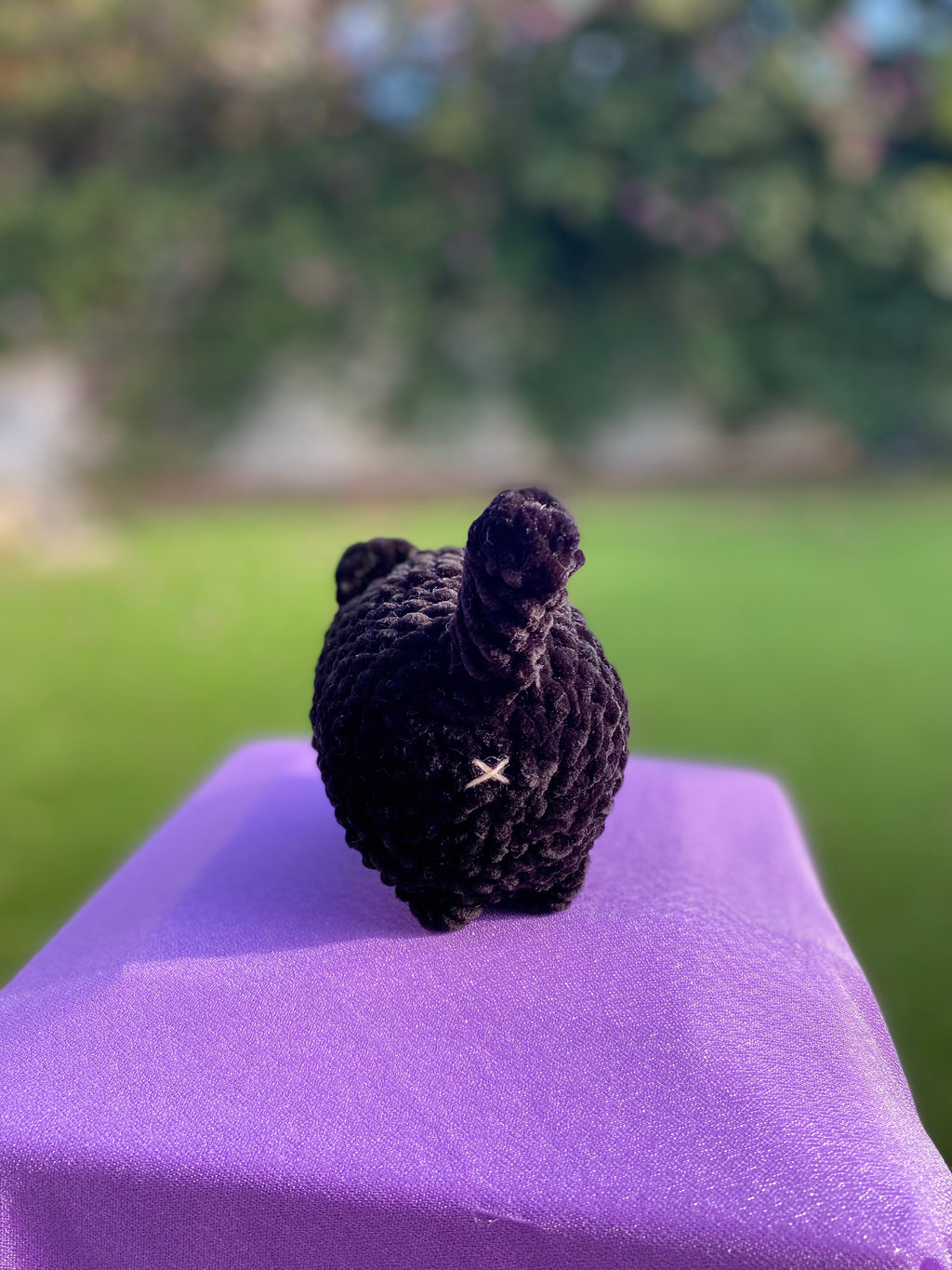 Gato mediano - varios colores