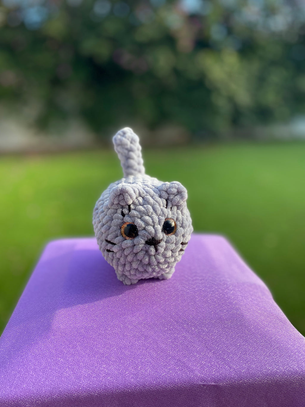 Gato mediano - varios colores