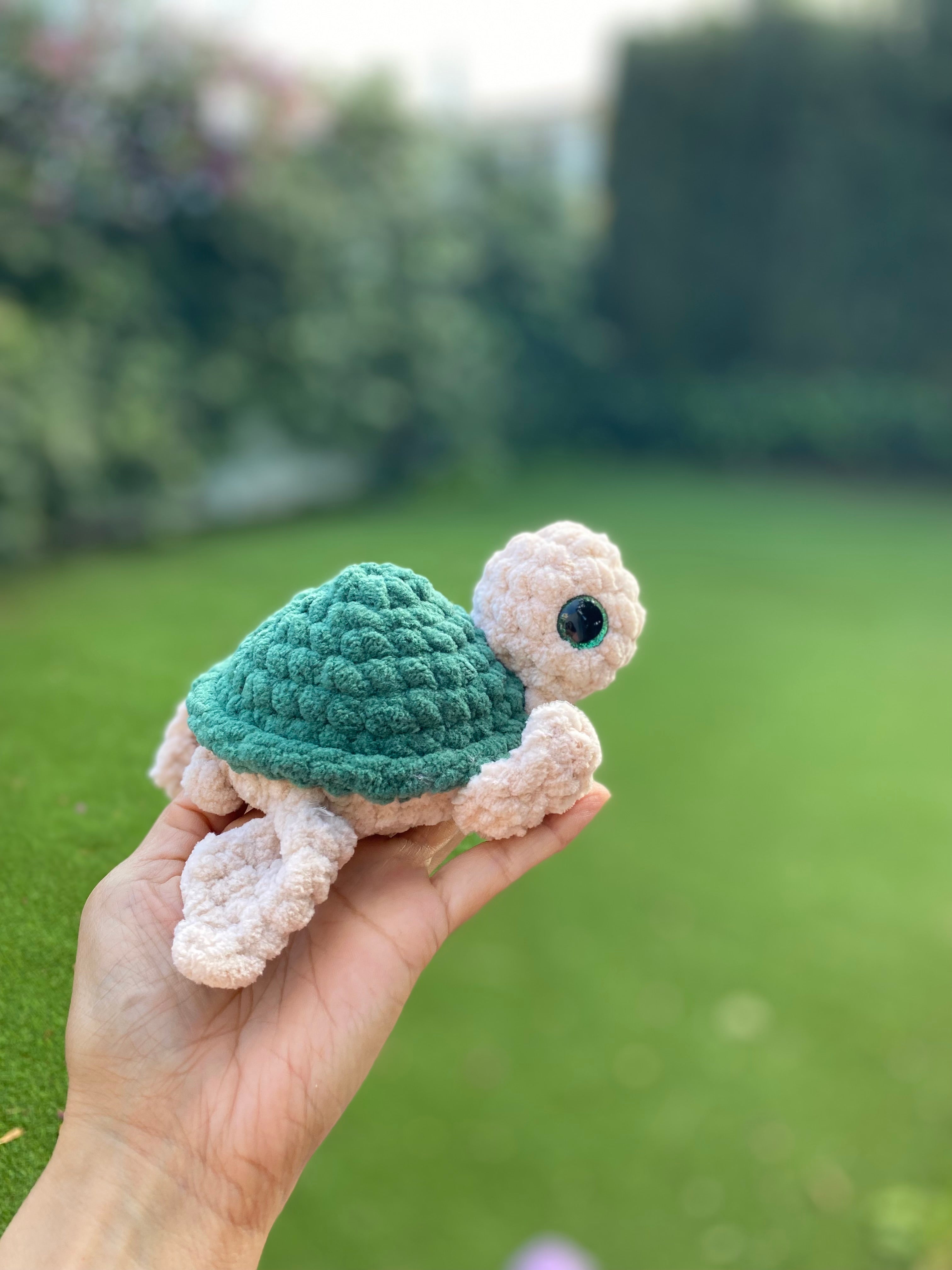 Tortuga marina - varios colores