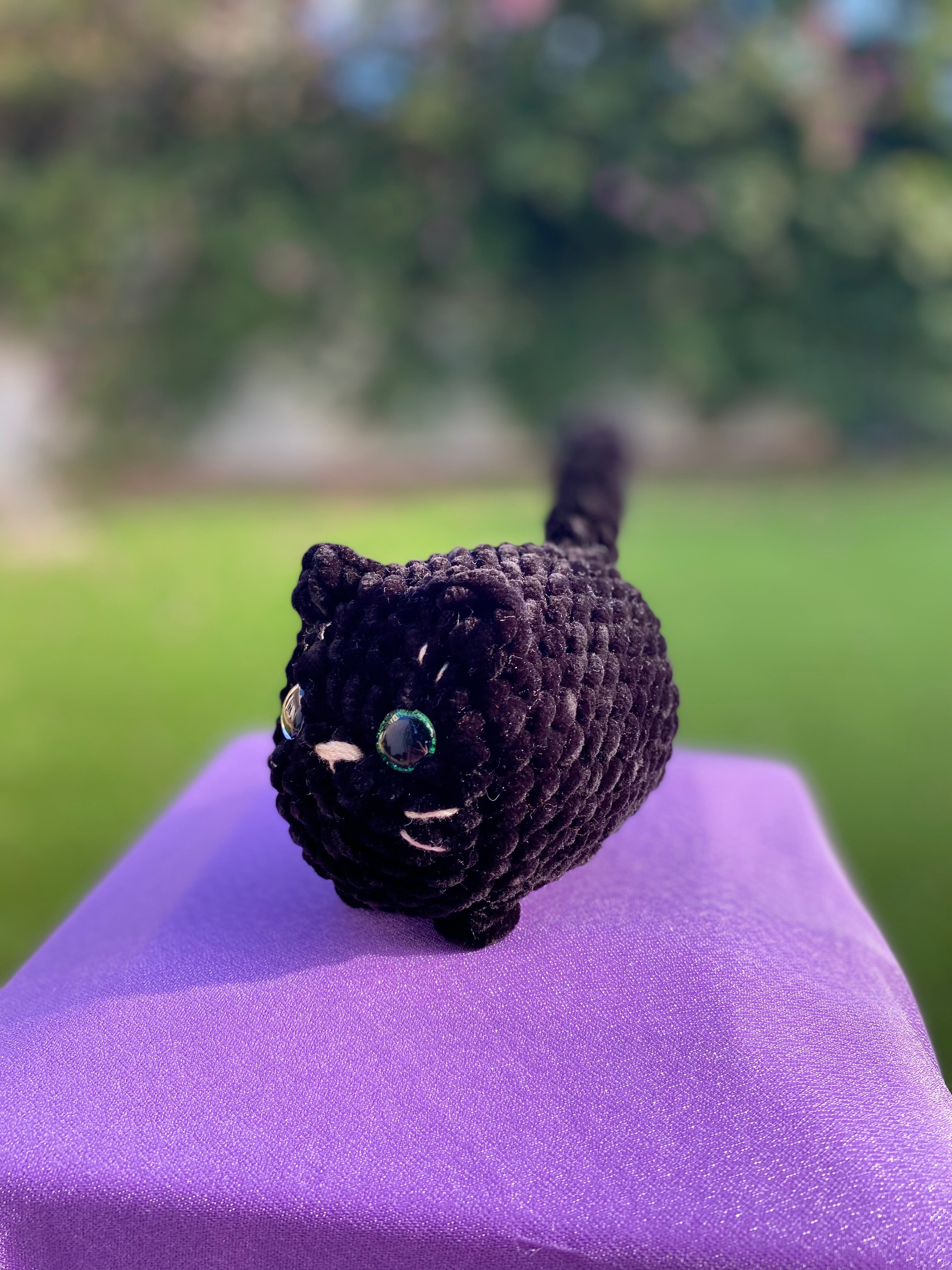 Gato mediano - varios colores