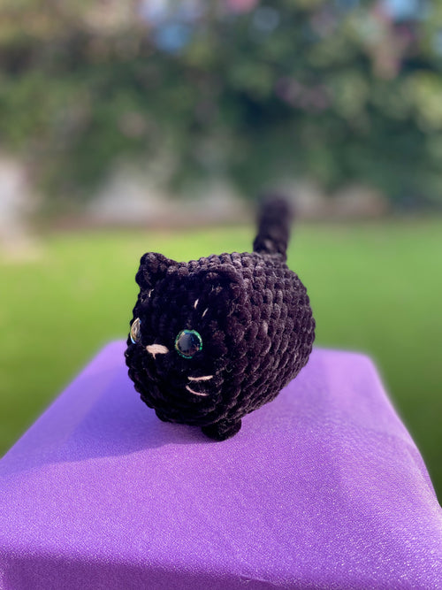 Gato mediano - varios colores