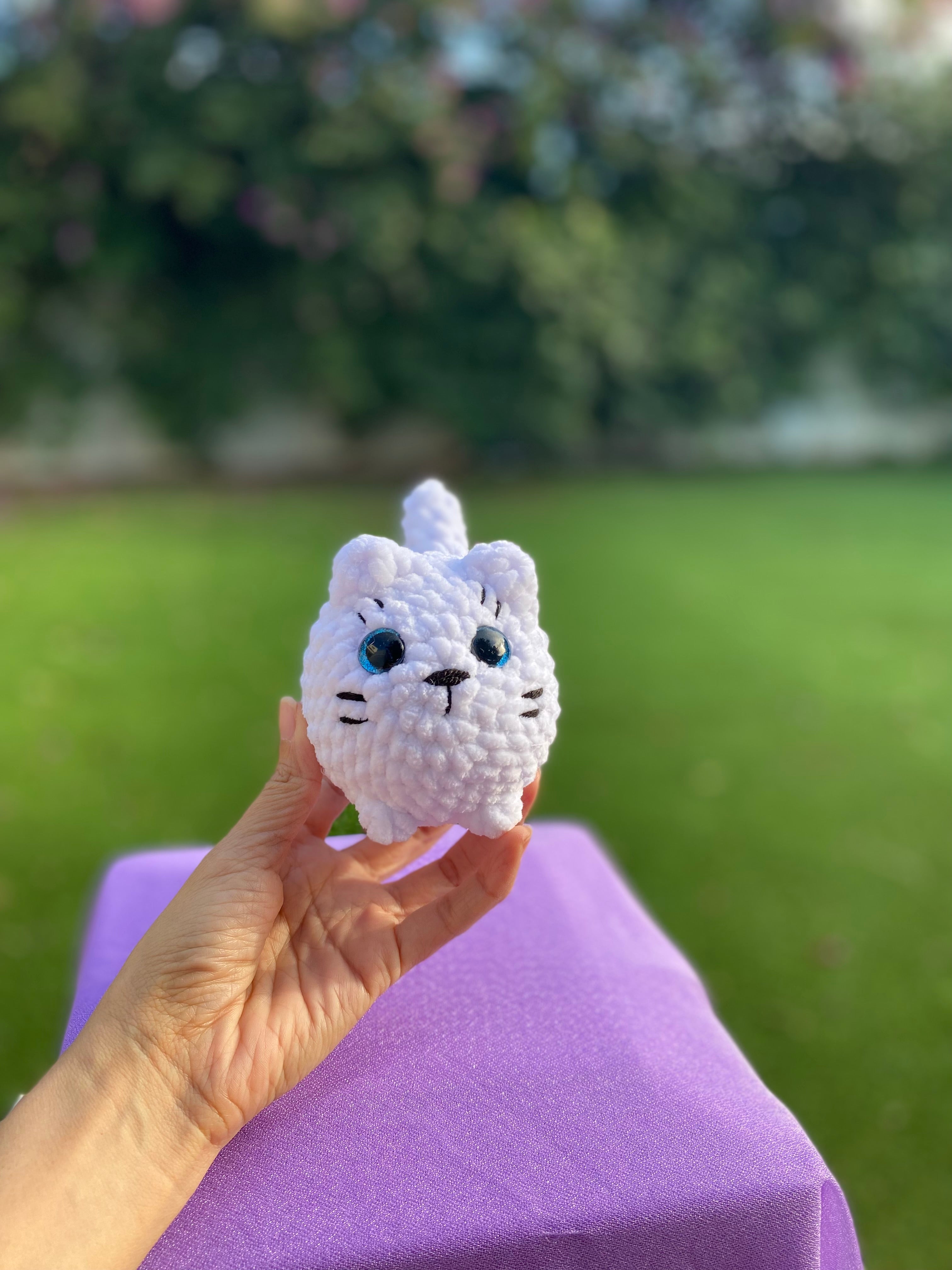 Gato mediano - varios colores